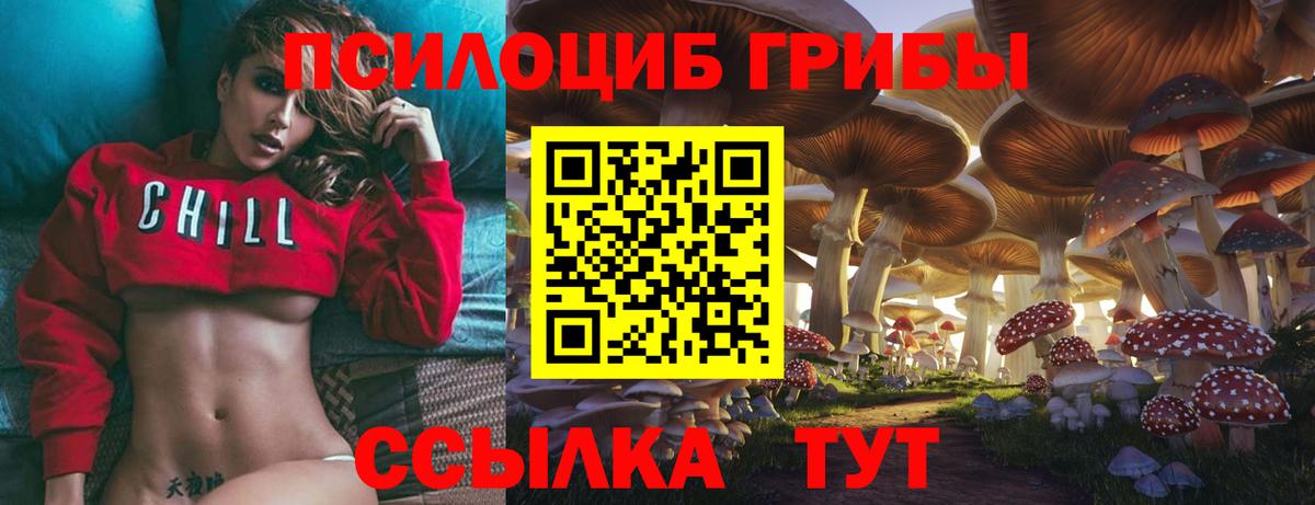Псилоцибиновые грибы Psilocybine cubensis  Вход с VPN  Петровск  Галлюциногенные грибы Psilocybe 